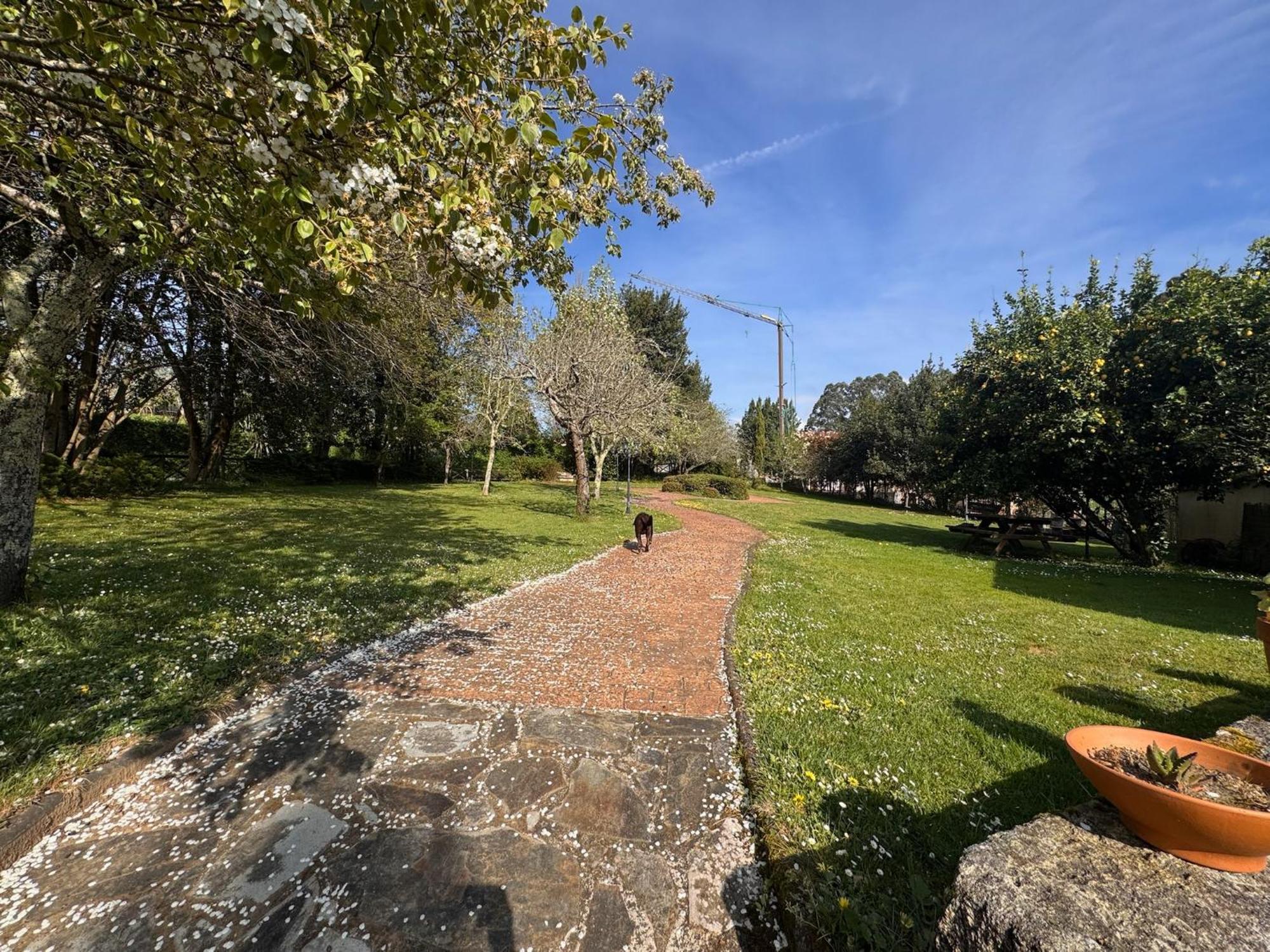 Casa Rural A Cobacha Paderne Exterior photo